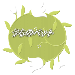 �o�i�[